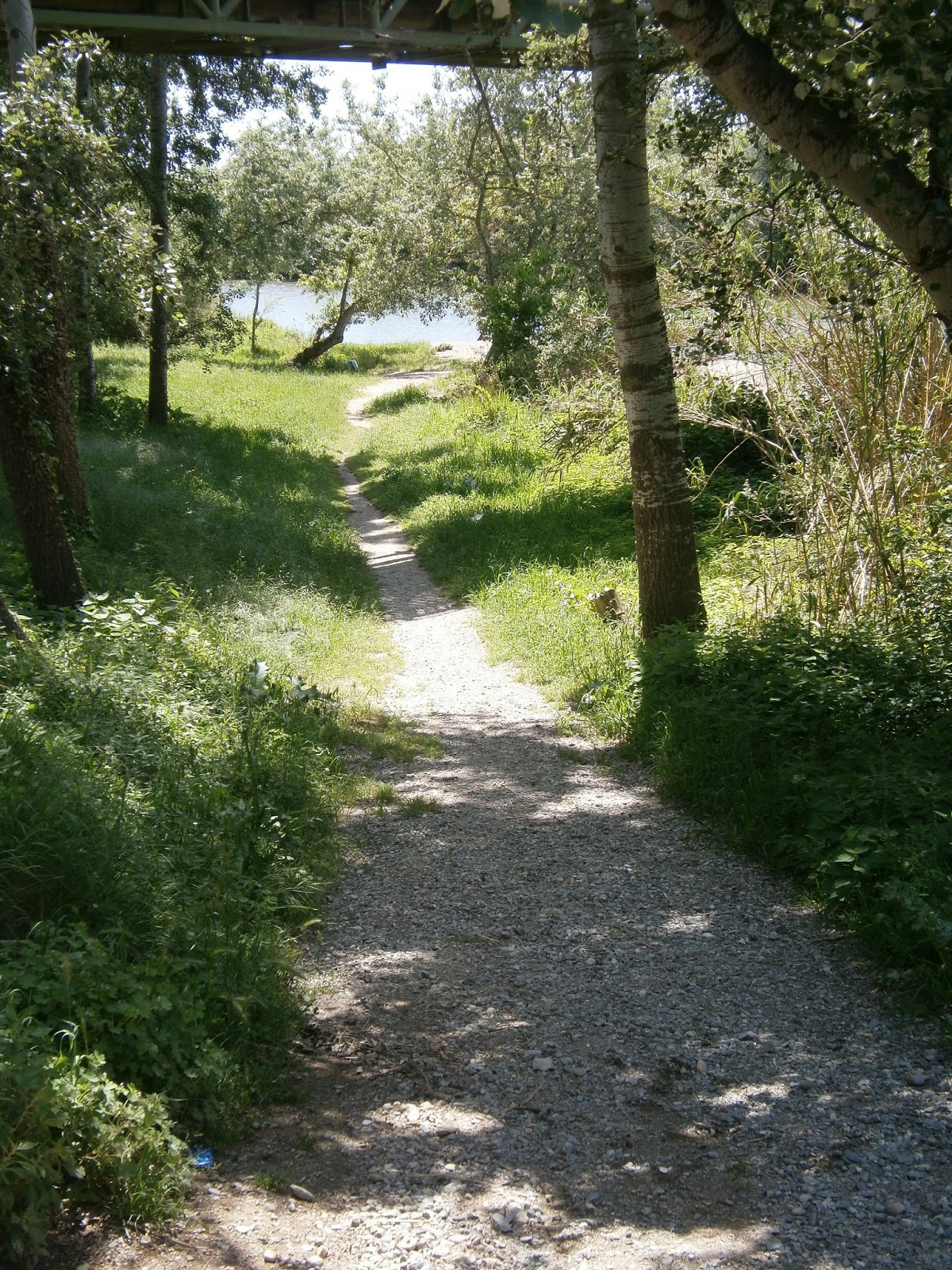 BeyondThePale: Walking: Along The Muga River