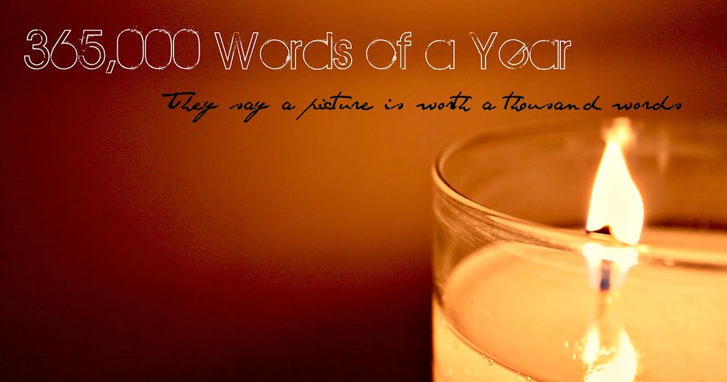 The 365,000 Words of a Year