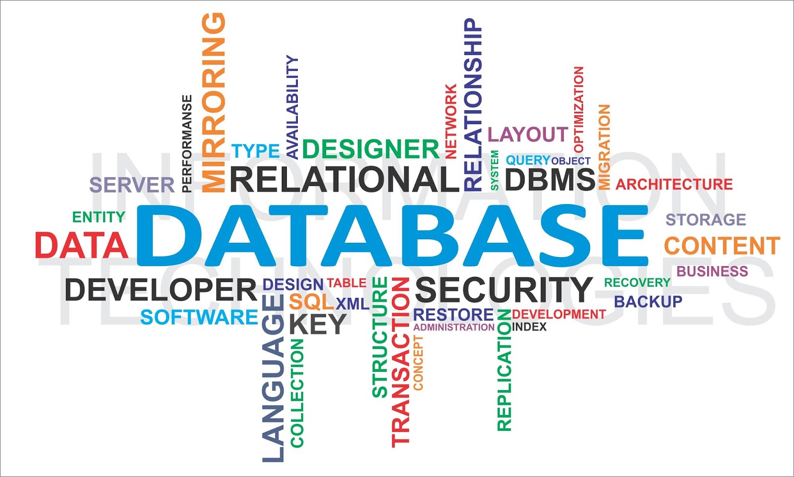 File Management Systems And Data Base Management