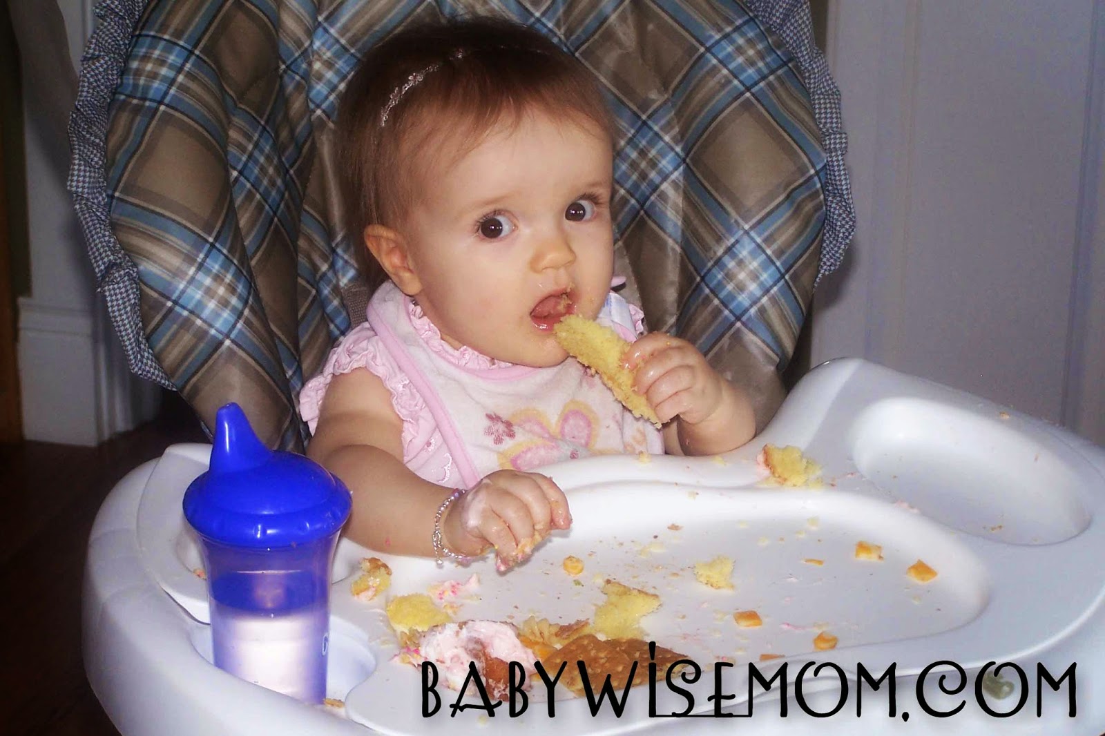 How to Wean Your Baby From Breastfeeding Chronicles of a Babywise Mom