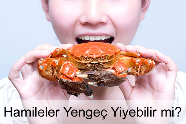 Hamileler Yengeç Yiyebilir mi? Hamileler Yengeç Yiyebilir mi?