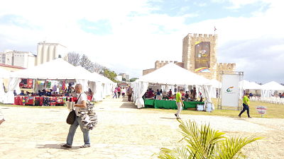 XV Feria Artesanal