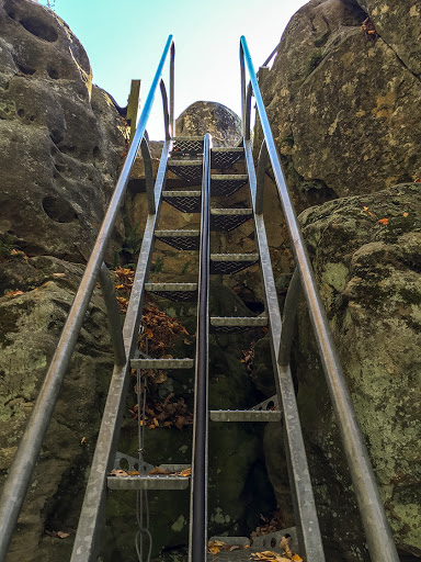 steps to the lookout perch at Castle Mound steps to the lookout perch at Castle Mound