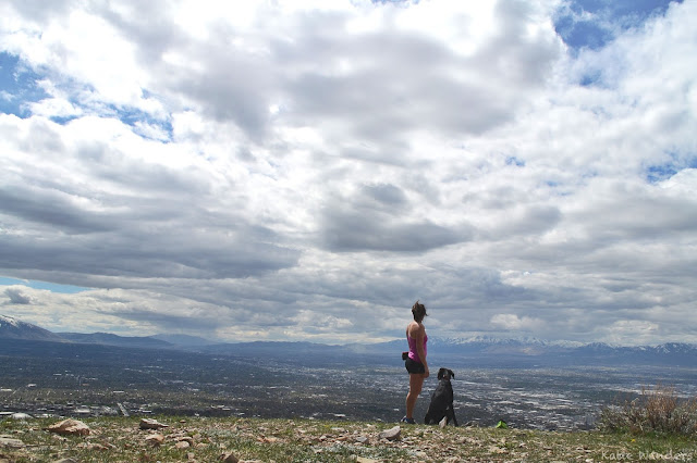 View from Avenue Twin Peaks Salt Lake City Utah 