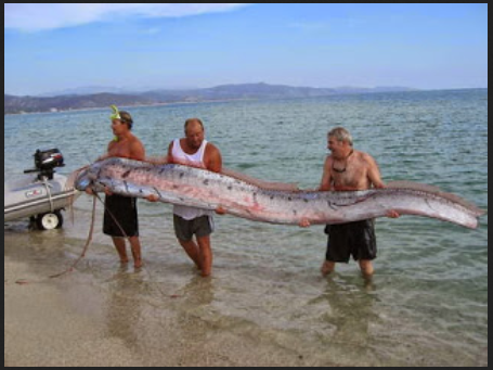 Heboh Video Penampakan Makhluk Misterius Dari Dasar Laut