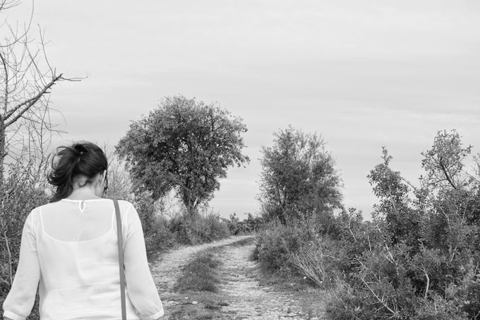 el campo en la provenza