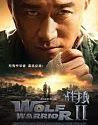 Wolf Warrior 2 (2017)