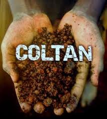 Coltan (mlillolupo)