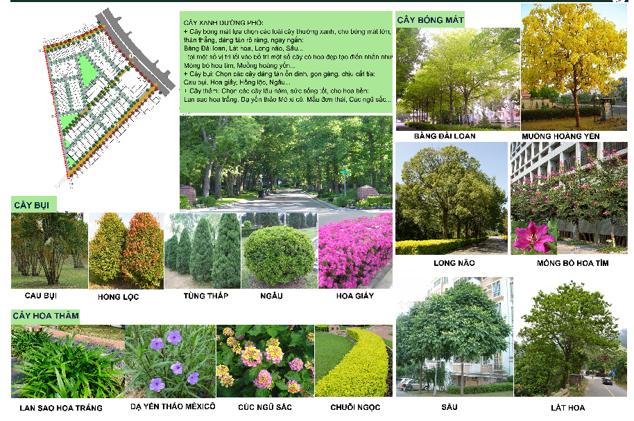những gam màu thiên nhiên tại the green daisy những gam màu thiên nhiên tại the green daisy