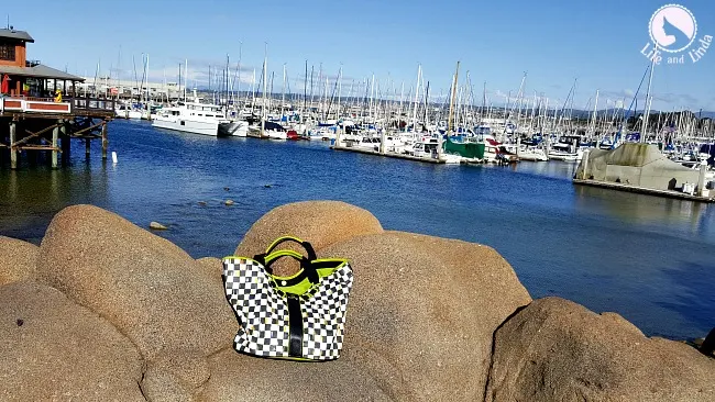 The Traveling Tote - Miss Lola at Carmel