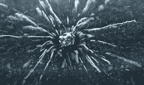 1.gif