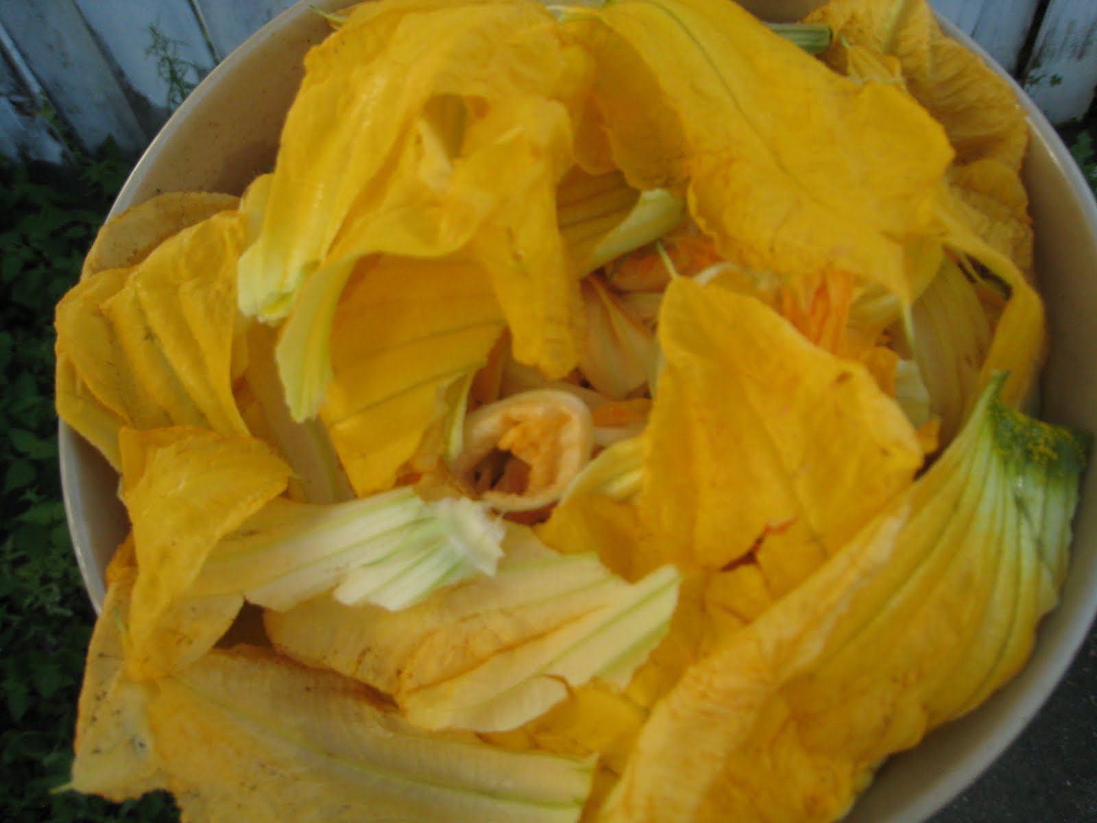 Tiny Happy (Urban) Farm Squash Blossom Season!