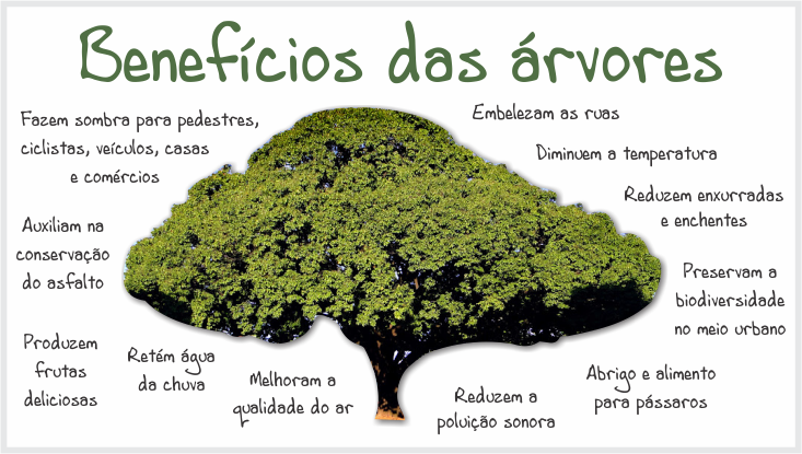 Imagem relacionada