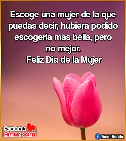 feliz día mujer 8 de marzo feliz día mujer 8 de marzo