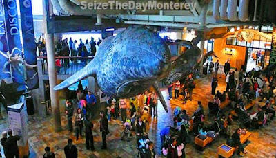 Best aquariums in America Monterey Bay Aquarium