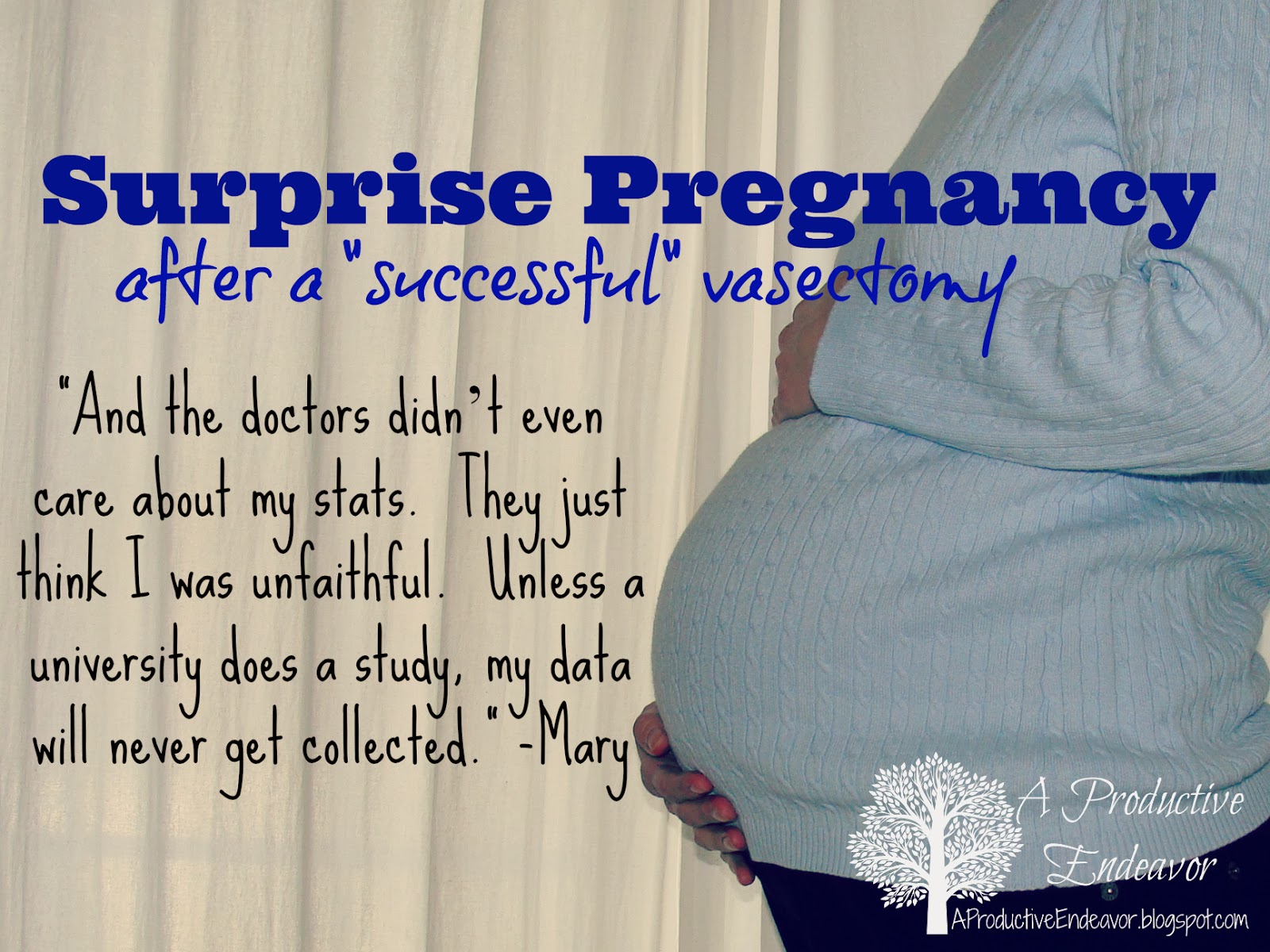 Productive Endeavor: Pregnant after a "successful" vasectomy