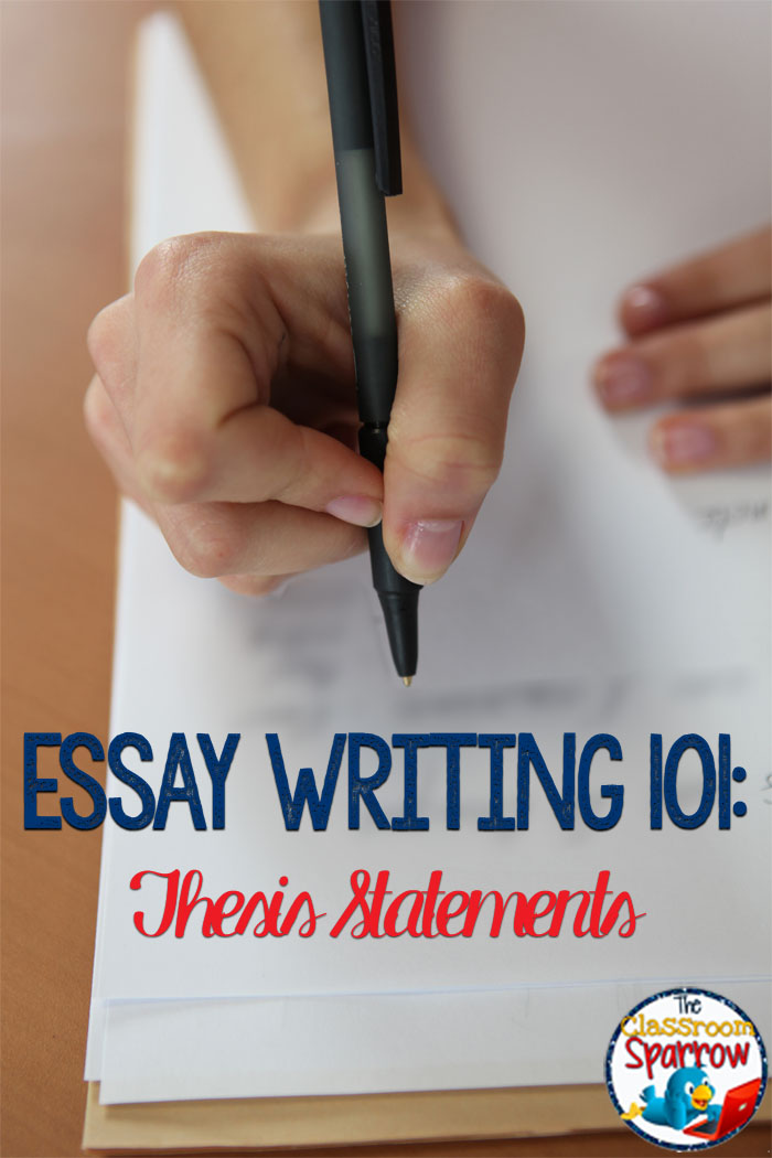 write an essay essay