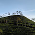 GUNUNG ALIT