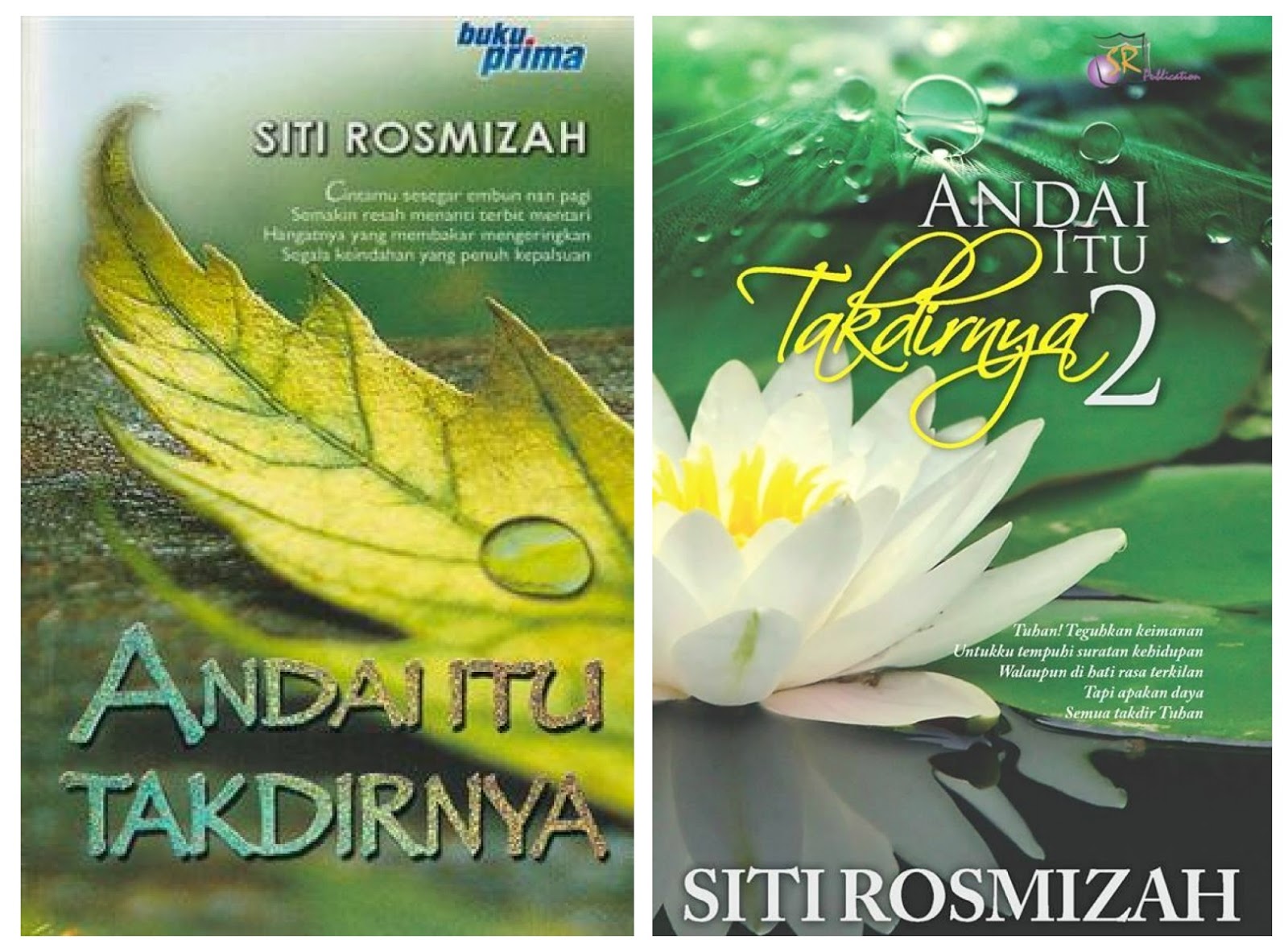 mybizsantaishop.blogspot.com: Andai Itu Takdirnya 1 & 2 ~ Siti Rosmizah