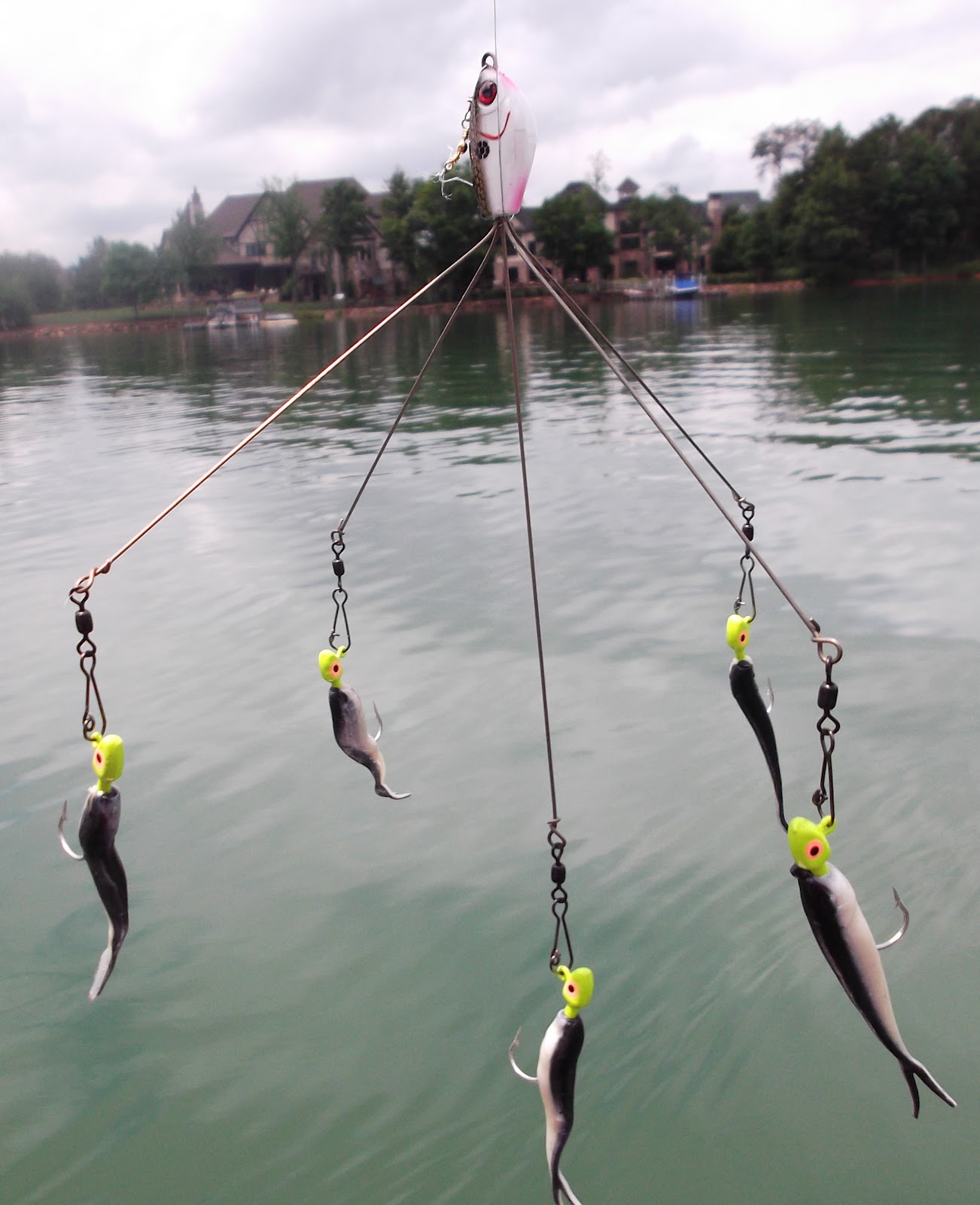 alabama rig rod and reel setup