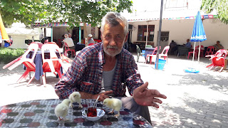 tavuk satışı edirne tavuk satışı kırklareli