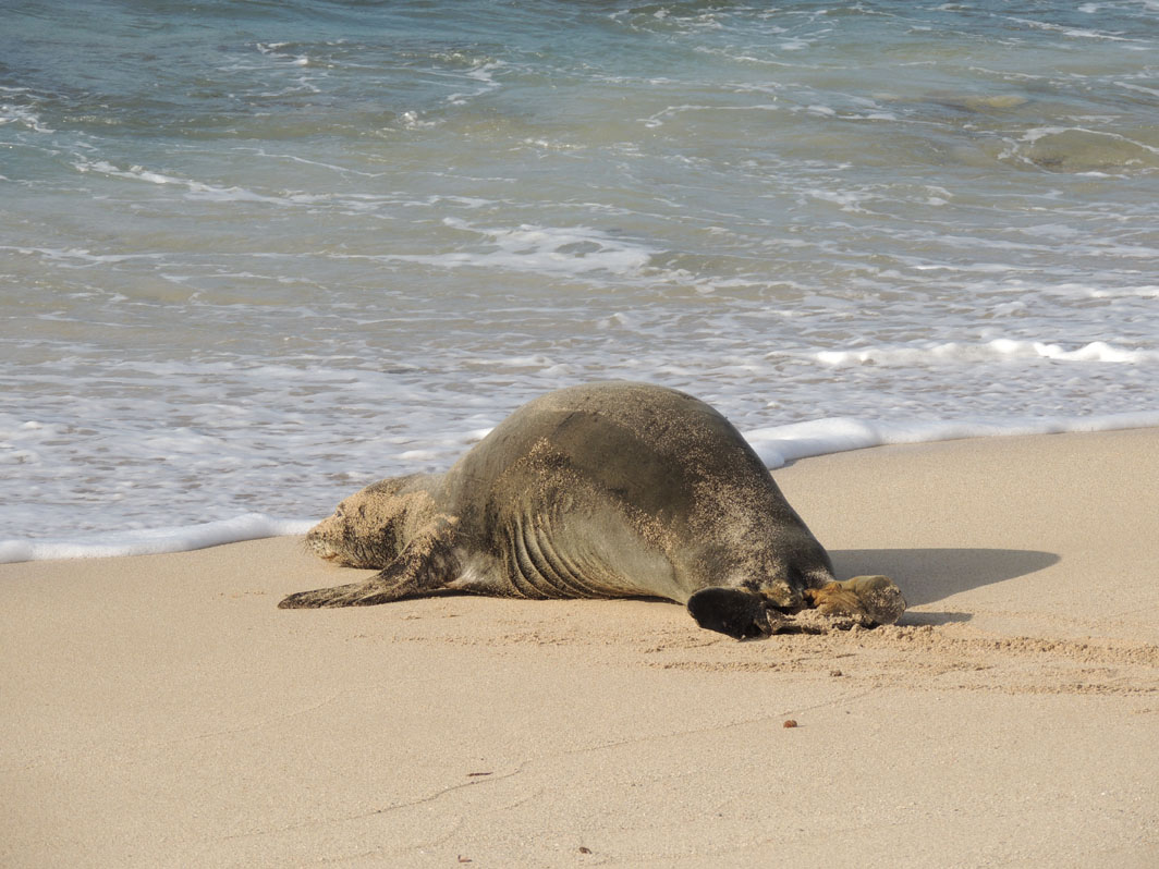 4192012 DB's Dailies