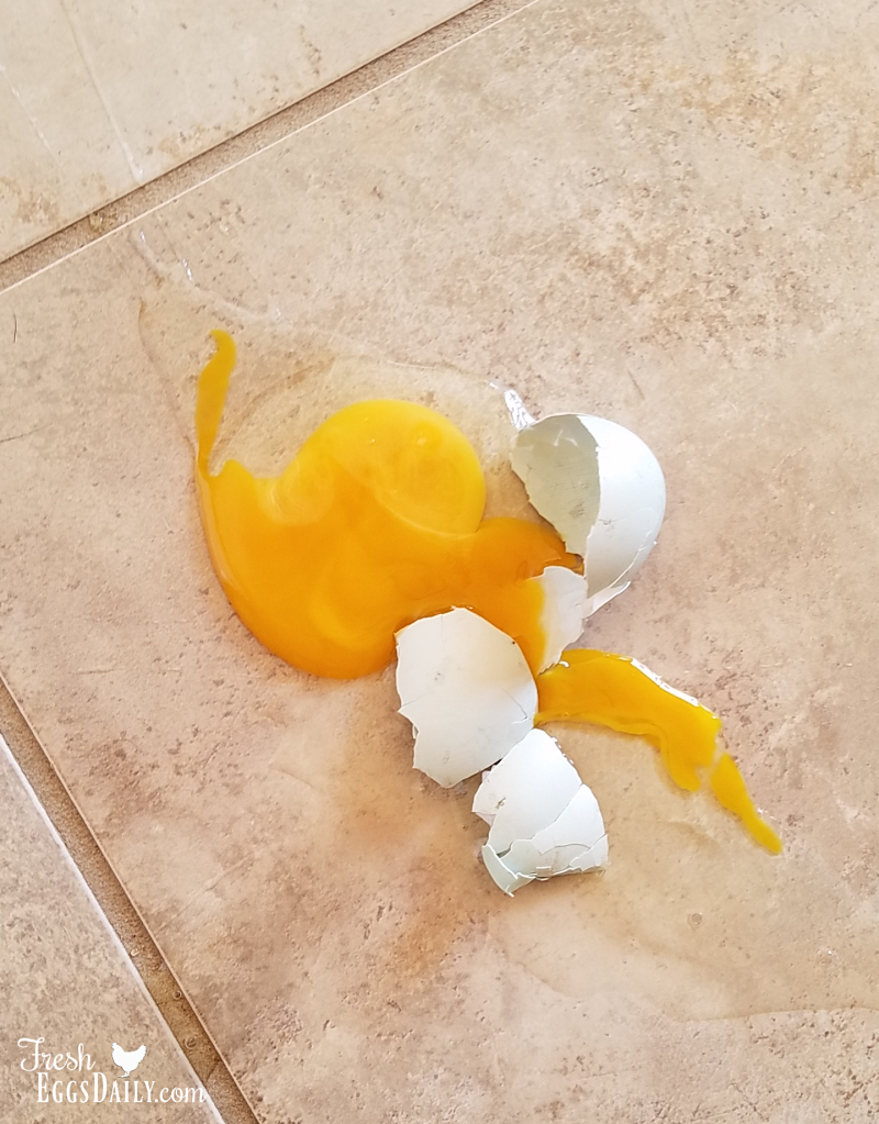 How To Clean A Broken Egg Off the Kitchen Floor Fresh Eggs Daily
