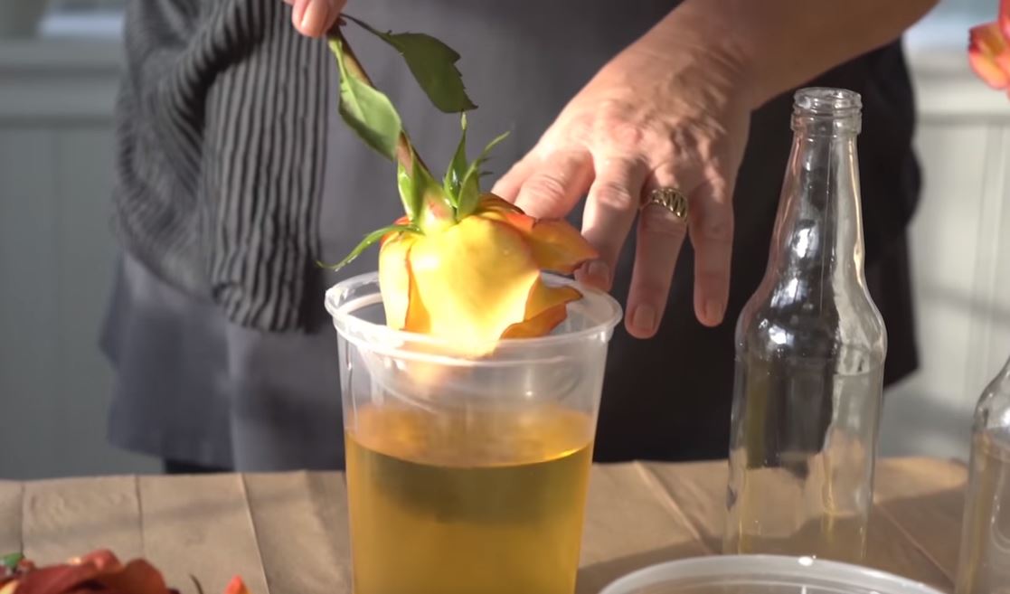 Dip Flowers in Wax To Make A Beautiful DIY Project That Lasts Longer! Handy DIY