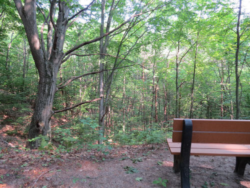 Ottawa Dunes trail