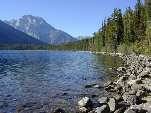 LATEST WALLPAPERS, 3D WALLPAPERS, AMAZING WALLPAPERS: Nature back