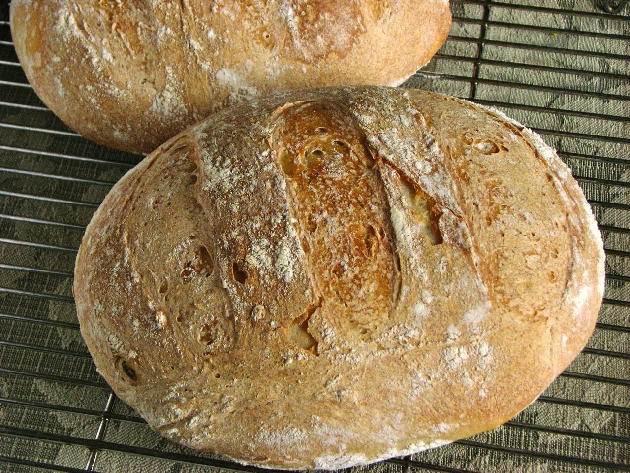 Delectably Mine Rustic Sourdough Bread delectably-mine-rustic-sourdough-bread
