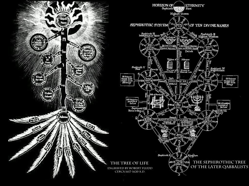 Símbolos Mitos Y Arquetipos El Símbolo Del árbol