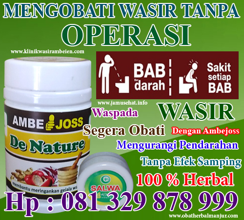 obat wasir cara alami