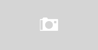 I will build your professional blogger website