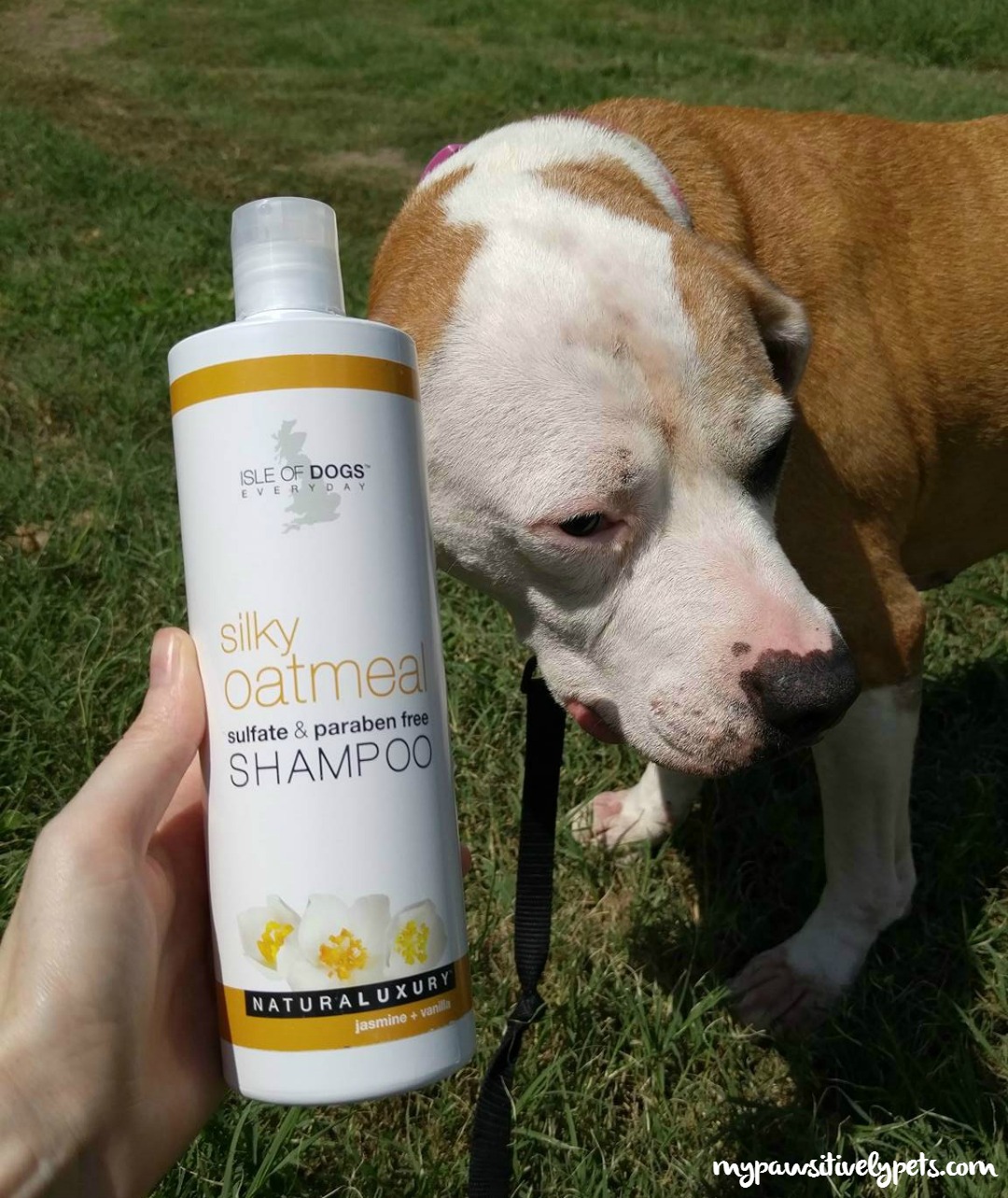 Skin Products for Dogs from Isle of Dogs Pawsitively Pets