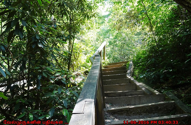 Helton Creek Falls Trail in Blairsville