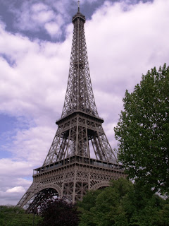 eiffel tower in paris france surrounded by trees