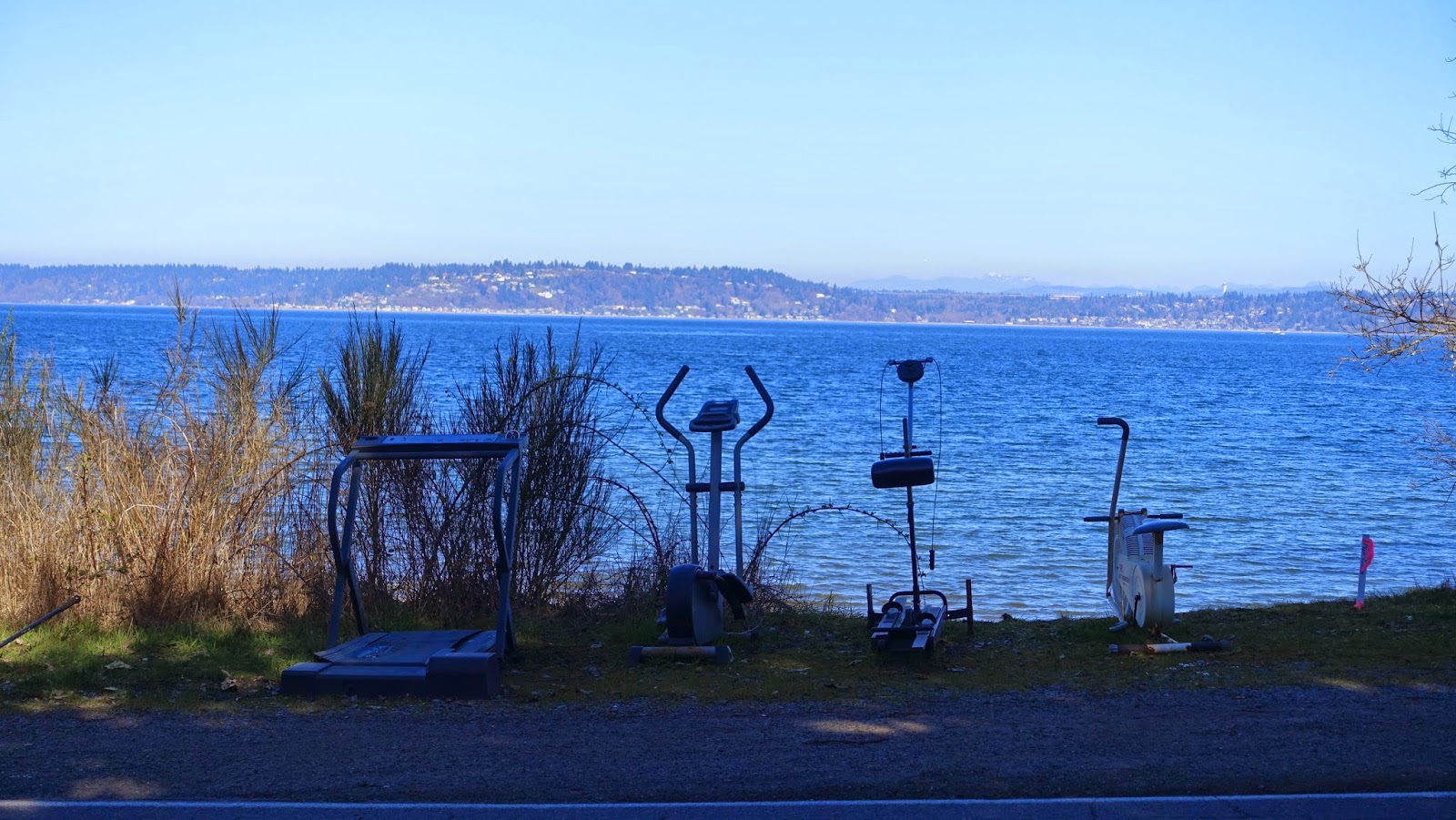 From Where I'm Standing VashonMaury Island Cycling