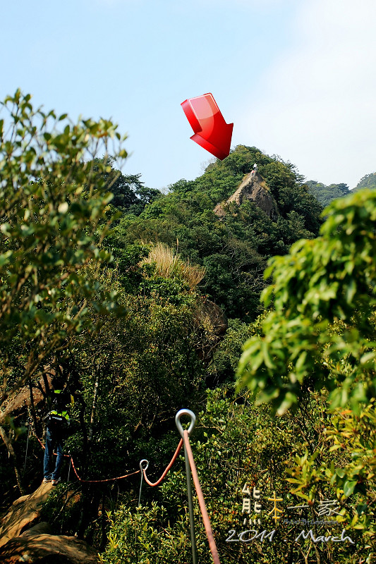 三峽五寮尖登山|踩在腳下的山陵線|牛背脊山線