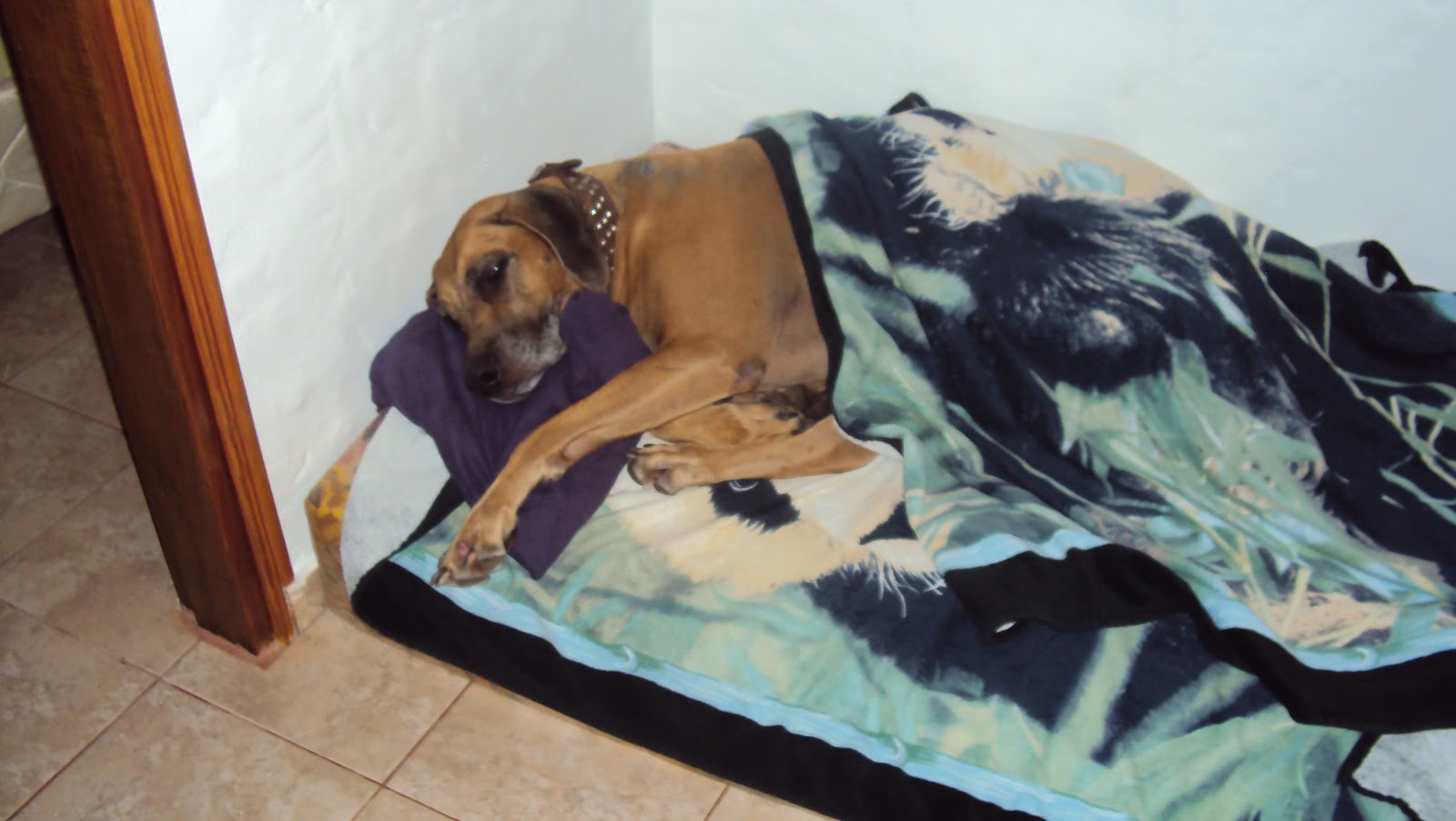 Auswandern nach Paraguay Juni 2012