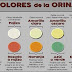 El color de la orina dice todo sobre tu salud. Esto es lo que significa su color y que podría andar mal en tu cuerpo!