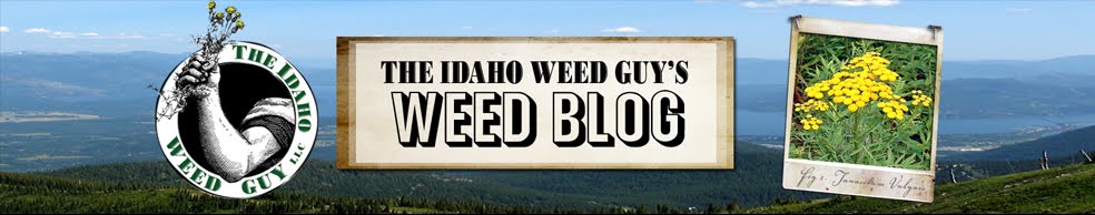 The Idaho Weed Guy