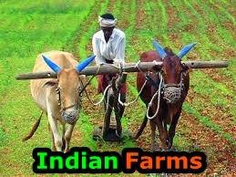 Indian-Farms