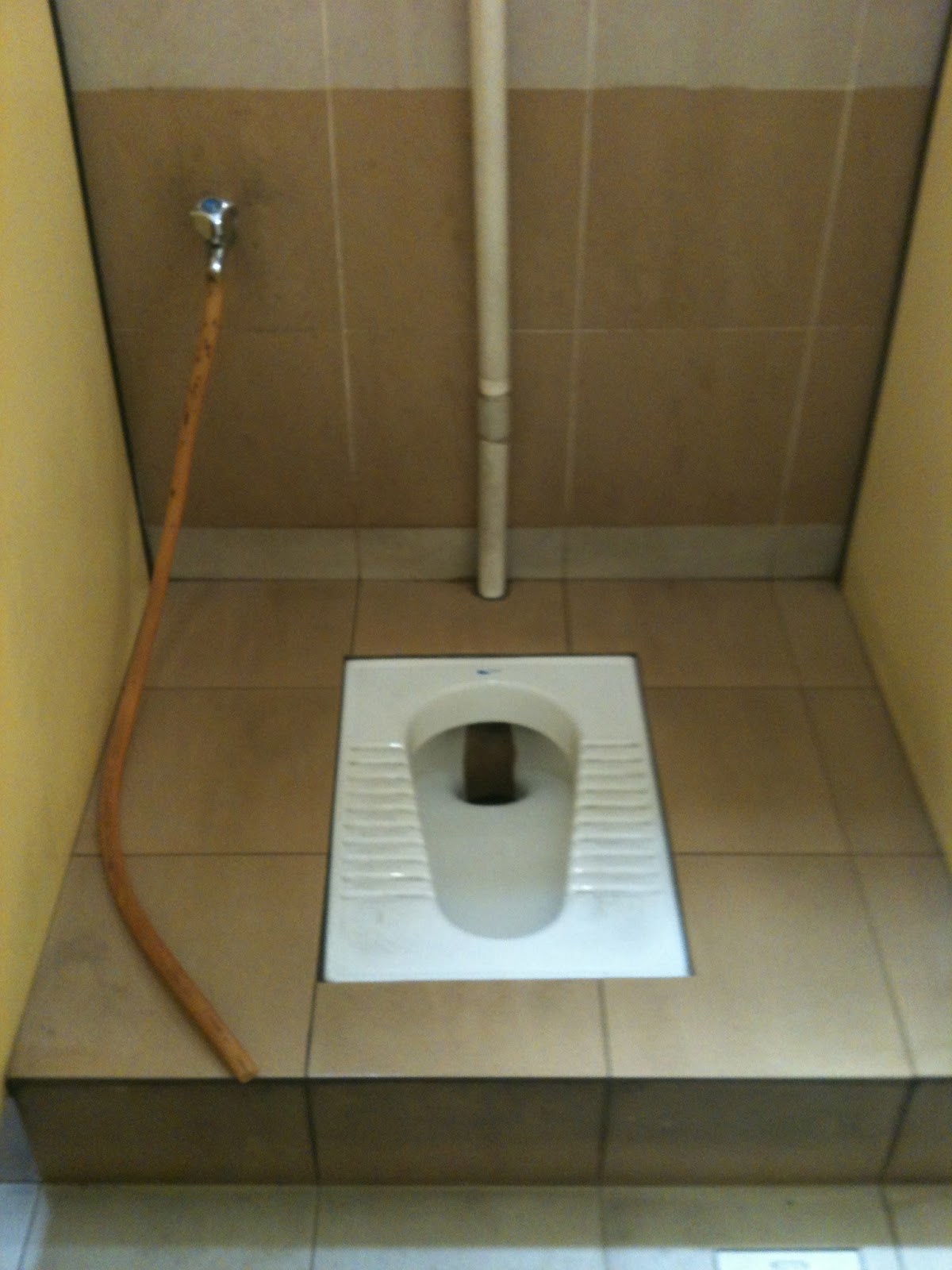 journeys into the unknown Toilets/Tandas (don't read if you are easily