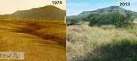 Fuente: http://www.epinardscaramel.com/images/blog/TED2013_allan_savory_deserts.png