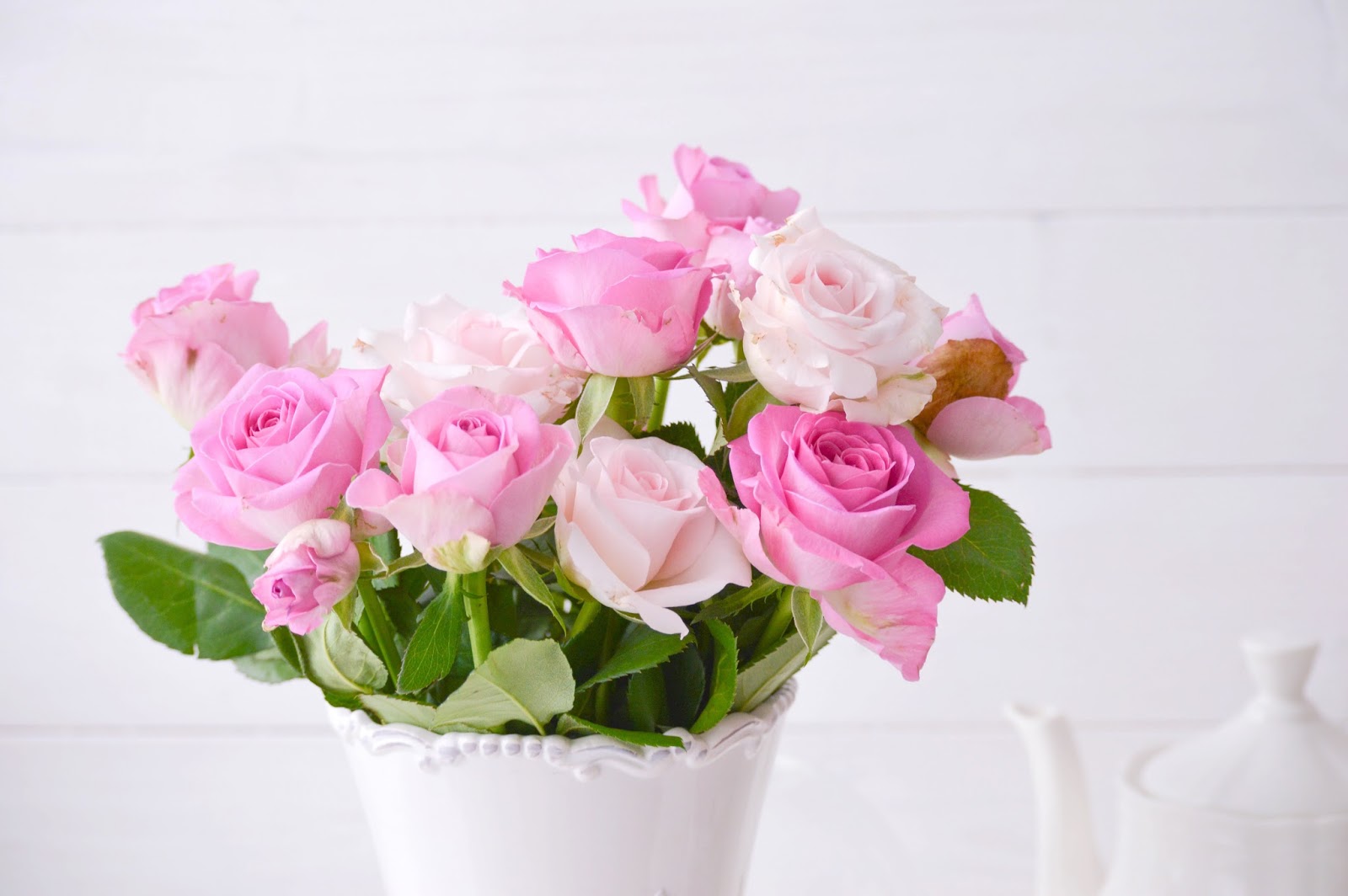 Schöne Rosa Rosen Schöne Rosa Rosen Vintage