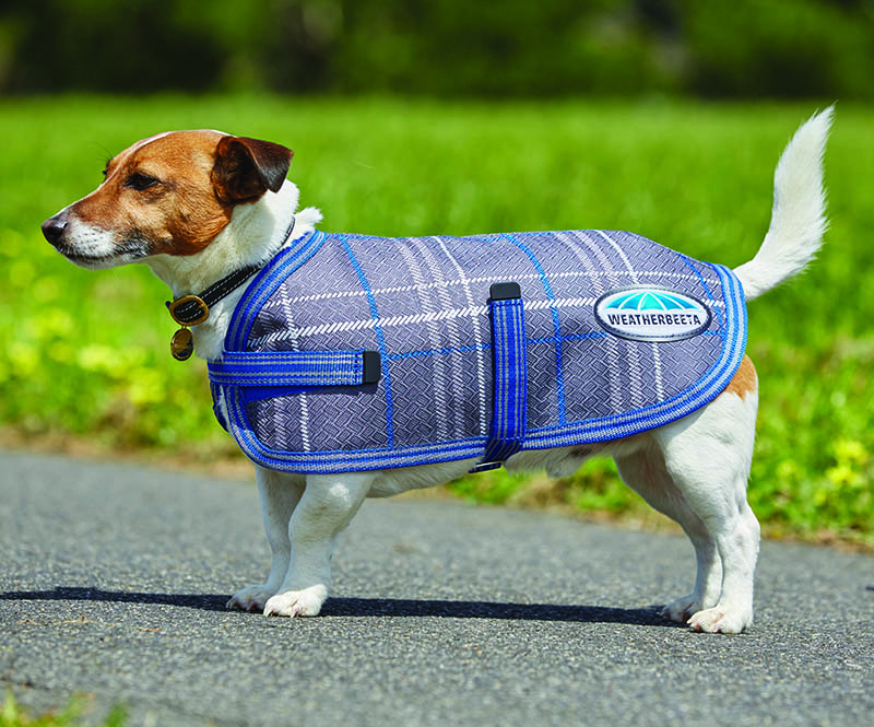 Weatherbeeta dog coats petbarn Clearance