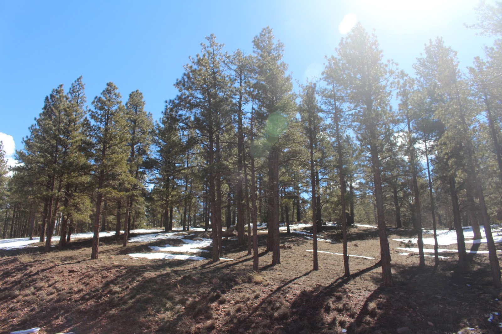 Armand's Rancho Del Cielo McGaffey Lake