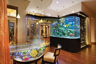 Acqua Liana Aquarium Acqua Liana Aquarium
