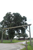 Entrada a un rancho Entrada a un rancho